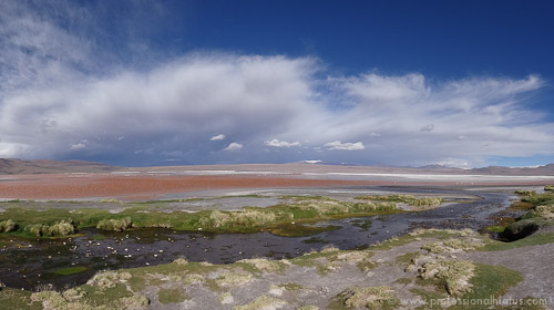 Laguna Colorada, Salar de Uyuni, Bolivia