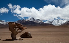 Arbol de Piedra in the Salar de Uyuni