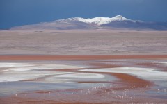 Laguna Colorada, Salar de Uyuni, Bolivia