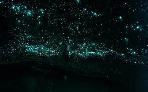 Spellbound Glowworms at end of cave