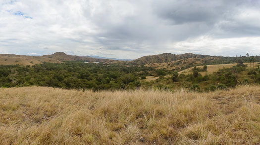 View of Rinca island from the top of the 'long' trek