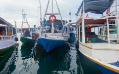 Boats 'parked' at the Komodo island harbor