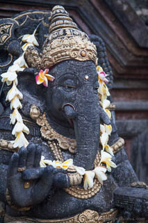 Ganesh statue with Frangipani flowers