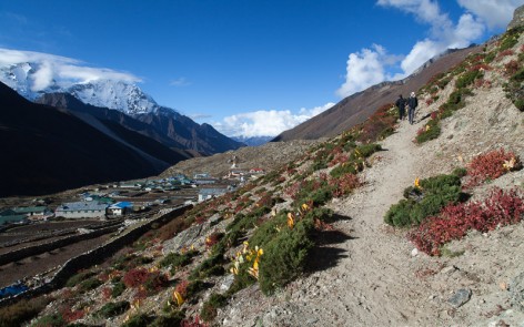 Trail leading out of Dingboche to Nangkar Tsang