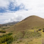 Puna Pau, where the moai top knots (pukao) were quarried