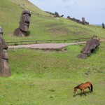 Horse among moai at Rano Raraku