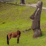 Horse and moai sharing a view